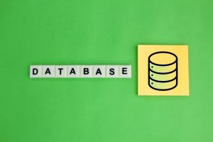 data types variables