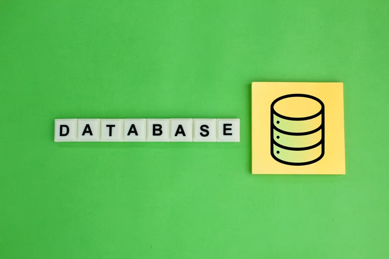 data types variables